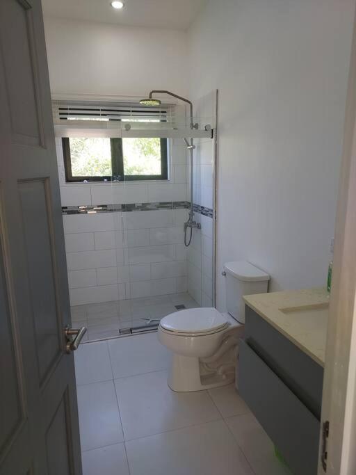 The Willow Apartment Ocho Rios Exterior foto