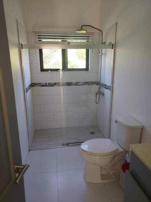 The Willow Apartment Ocho Rios Exterior foto