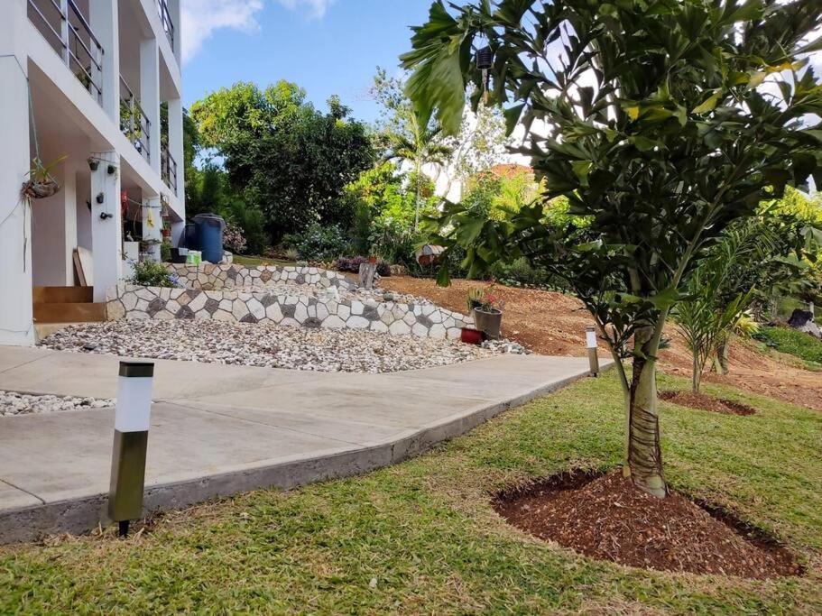 The Willow Apartment Ocho Rios Exterior foto