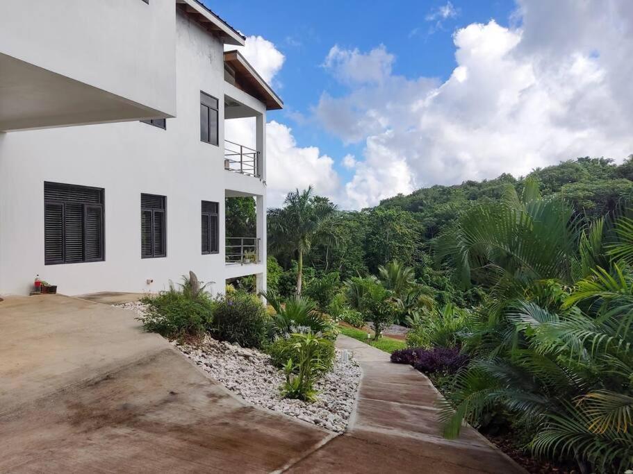 The Willow Apartment Ocho Rios Exterior foto