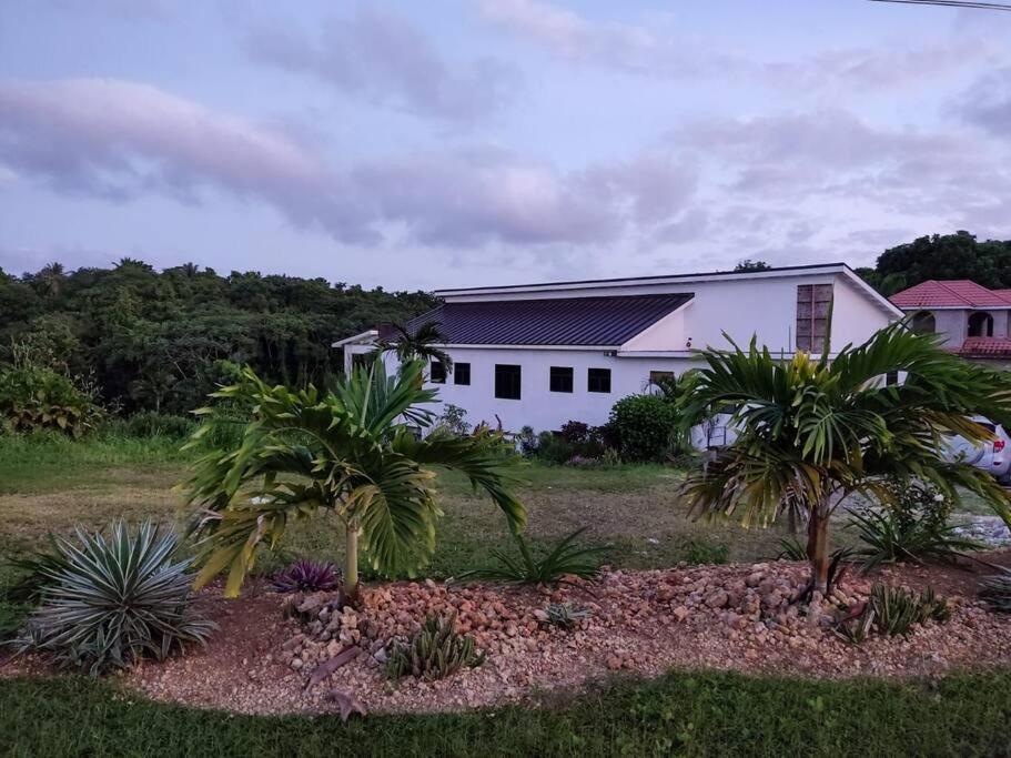 The Willow Apartment Ocho Rios Exterior foto