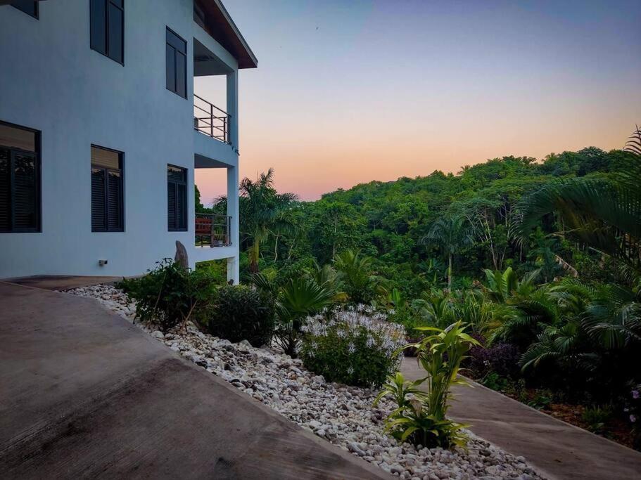 The Willow Apartment Ocho Rios Exterior foto
